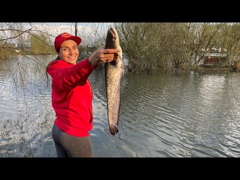 Видео: Сварила БОРЩ из СОМа! Ловила ЛИНЯ а пришли СОМЫ снова..