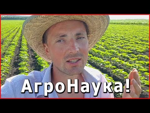 Видео: АгроНаука! ЖКУ в домашних условиях. Внесение. Результаты.