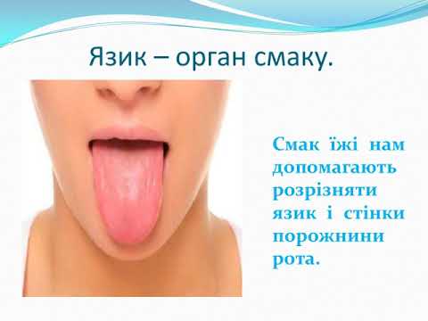 Видео: Природознавство  3 клас  Органи чуття