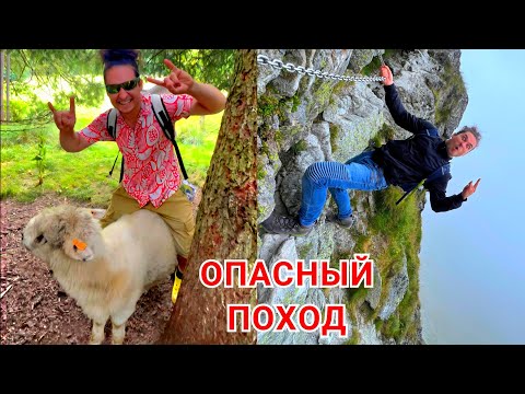 Видео: Опасные ПОКАТУШКИ на БАРАНЕ в горах!