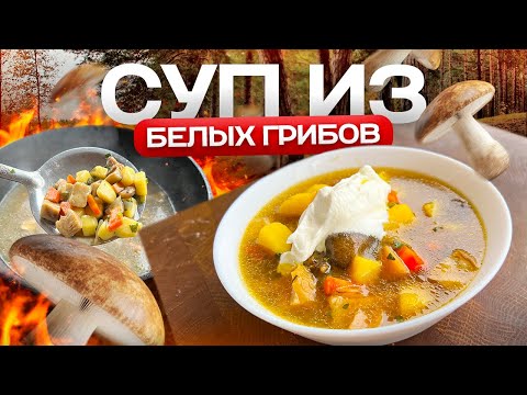 Видео: Вкусный Насыщенный ГРИБНОЙ СУП. Суп из Белых Грибов.