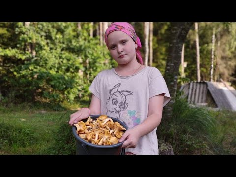 Видео: ПЕРВЫЕ ГРИБЫ 2024//ТОРГОВЛЯ НА РЫНКЕ//СЕЗОН ОТКРЫТ!!!