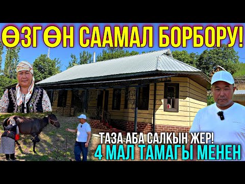 Видео: СААМАЛ ИЧИП ЖЫРГАҢЫЗ ЖАНА ДЕН-СООЛУКТУ ЧЫНДАҢЫЗ ❤️‍🔥 #байтв