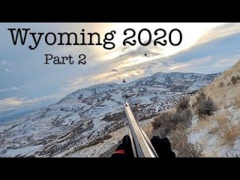 Видео: Вайоминг Чукар и гунны 2020, часть 2