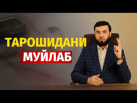 Видео: Тарошидани  муйлаб
