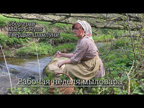 Видео: 4.Много ароматной работы: начало сезона сбора трав | мыло с нуля | твердые шампуни+ домашние радости