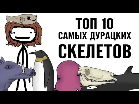 Видео: Топ 10 самых дурацких скелетов - Академия Сэма Онеллы | Озвучка Rumble