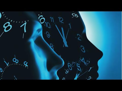 Видео: С.В. Савельев: "Биологические ритмы"