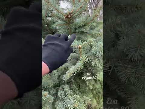 Видео: «МАКИТА» Тест- Драйв DUH 523