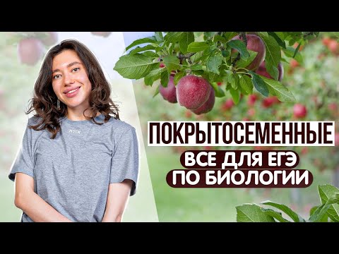 Видео: Все о покрытосеменных | ЕГЭ и ОГЭ по биологии