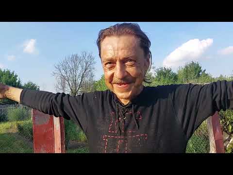 Видео: Одинокий холостой мужчина.