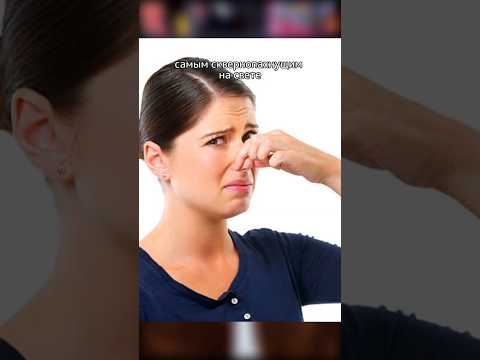 Видео: Самый ВОНЮЧИЙ цветок! #shorts #шортс