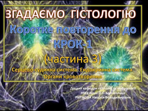 Видео: Гістологія до Крок  1 (3) (Серцево судинна,  ендокринна системи, органи кровотворення)