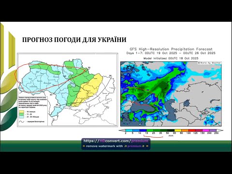 Видео: Брифінг по аграрних ринках 21-10-2025