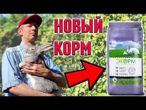 Видео: Новый комбикорм для кроликов