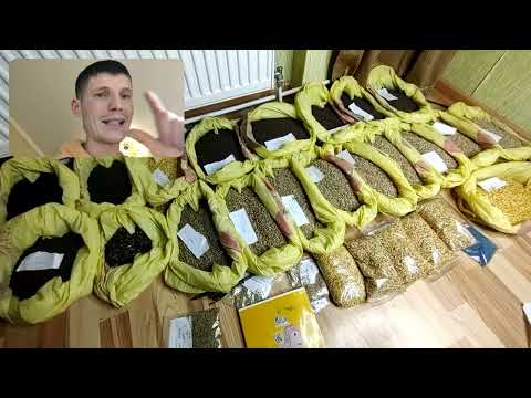 Видео: Нарешті привезли. Насіння на якому планую заробити на весні. Якщо доживу!