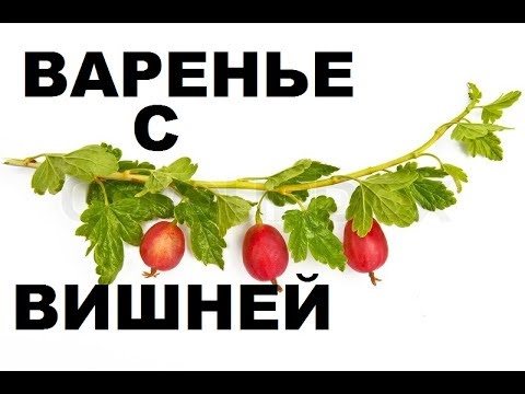 Видео: Варенье Из Крыжовника С Вишневыми Листьями. Вкусные Заготовки На Зиму