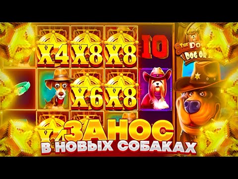 Видео: ТОЛЬКО ОКУПНЫЕ БОНУСЫ И ЗАНОС в THE DOG HOUSE DOG OR ALIVE !