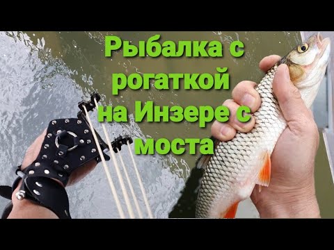 Видео: Рыбалка с рогаткой на Инзере с моста