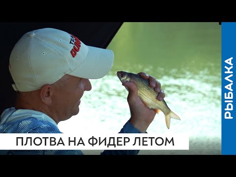 Видео: Ловля плотвы на фидер в летнее время