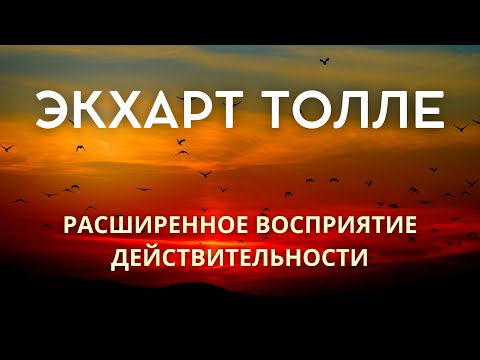 Видео: Расширенное восприятие действительности - ЭКХАРТ ТОЛЛЕ [Nikosho]