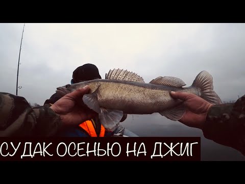 Видео: Судак. Осень. Финский Залив