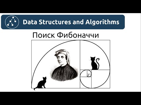 Видео: Алгоритмы. Поиск Фибоначчи. Реализация на Python и Java.