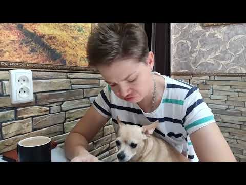 Видео: ВКУСНЕЙШЕЕ ПЕЧЕНЬЕ НА ТВОРОЖНОМ ТЕСТЕ.😋👍 #печенье #творожноетесто #вкуснаявыпечка #быстроетесто #еда