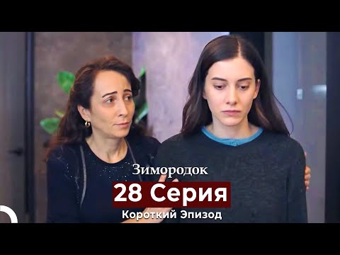 Видео: Зимородок 28 Cерия (Короткий Эпизод) (Русский дубляж)
