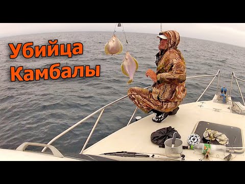 Видео: Рыбалка на донку. Ловля камбалы на спиннинг с катера!