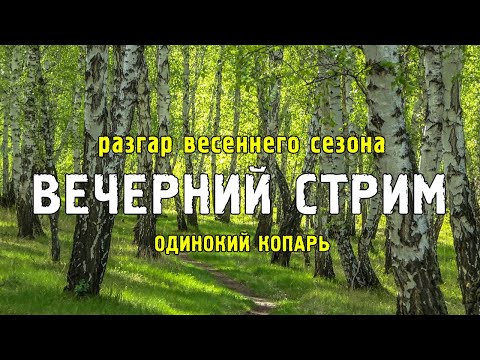 Видео: Разгар весеннего слёта! ОБЬЯВЛЕНИЯ и НОВОСТИ!