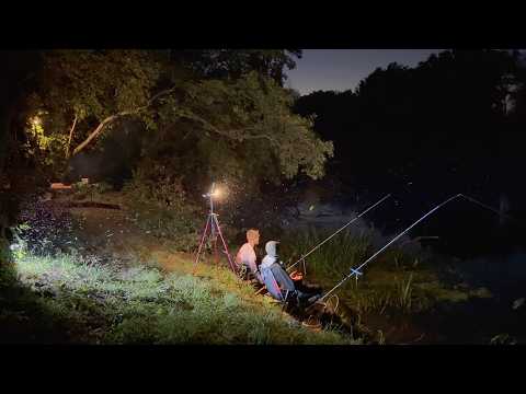 Видео: НЕЗАБЫВАЕМАЯ Рыбалка с ГИДОМ! ЗАКРЫВАЕМ все ВОПРОСЫ по ФИДЕРУ на РЕКЕ! СЕВЕРСКИЙ ДОНЕЦ!!!