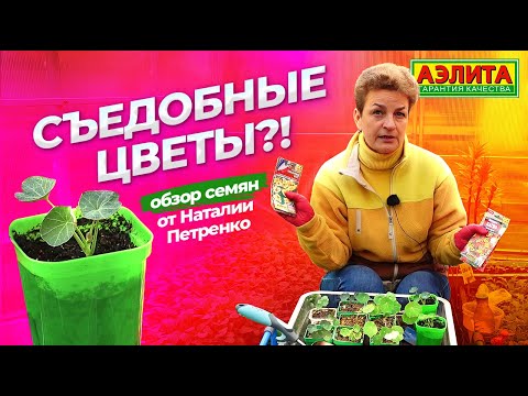 Видео: СЪЕДОБНЫЕ ЦВЕТЫ. Выращивание настурции.