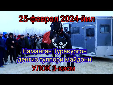 Видео: 25 феврал 2024 Наманган Денгиз тулпори улок 3-кисм