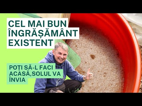 Видео: Микробиологическое решение JADAM – все ваши растения будут хорошо питаться.