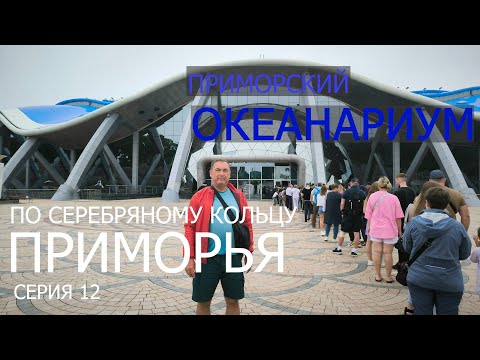 Видео: По “Серебряному кольцу Приморья”.  Серия 12. Приморский океанариум.