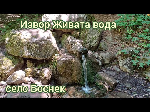 Видео: Извор Живата вода и пещерата на Св Иван Рилски до извора - село Боснек - България