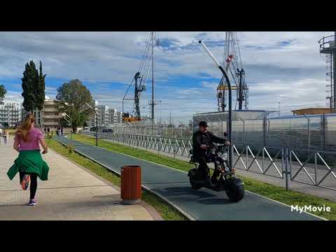 Видео: Адлер 14 октября