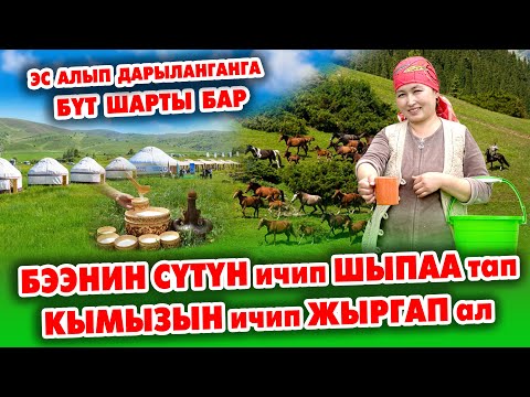 Видео: СААМАЛ ичип, ДЕН-СООЛУКТУ караңыз ~ СЕЗОН башталды ~ Ысык ТАМАК, таттуу КАЙМАК да берилет ~ КООЗ ЖЕР