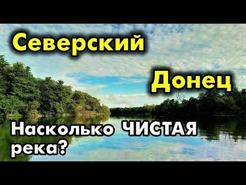 Видео: СЕВЕРСКИЙ ДОНЕЦ. Экскурсия по реке. Чистая ли вода?