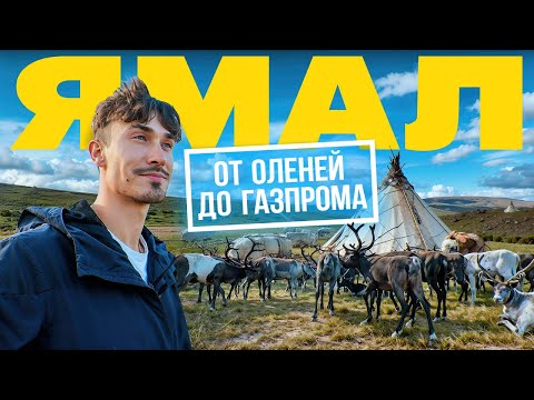 Видео: Ямал: как живут настоящие кочевники? ОЛЕНИ, ДУШЕВНЫЕ СЕВЕРЯНЕ И СОВРЕМЕННАЯ СТОЛИЦА [ПО РЕГИОНАМ!]