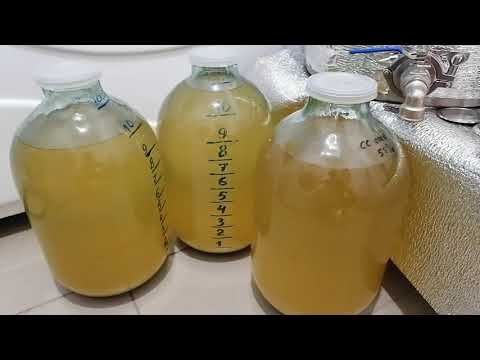 Видео: Гидромодуль 1:2,6,турбо дрожжи брагман 48 юниверсал,что произошло!!!???