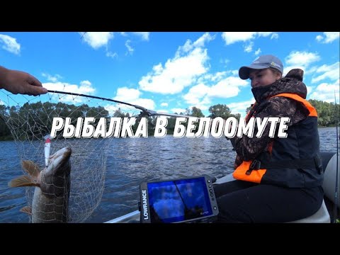 Видео: Рыбалка в Белоомуте 2024г