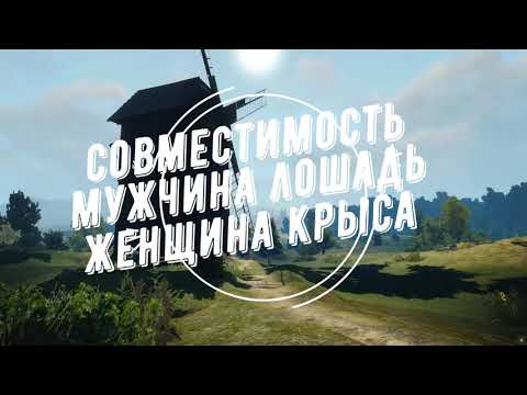 Видео: Совместимость мужчина Лошадь и женщина Крыса
