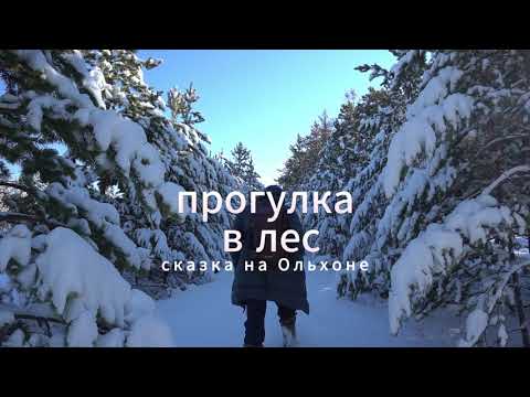 Видео: Прогулка в снежный лес | Walking into the snowy wood | Olkhon island