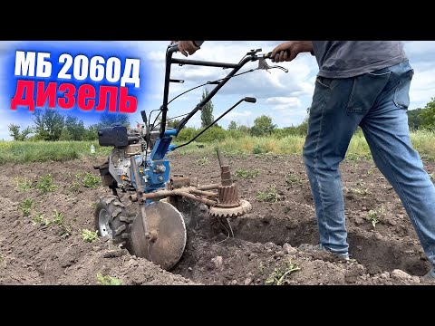 Видео: Окучиваем картошку мотоблоком КЕНТАВР МБ 2060Д