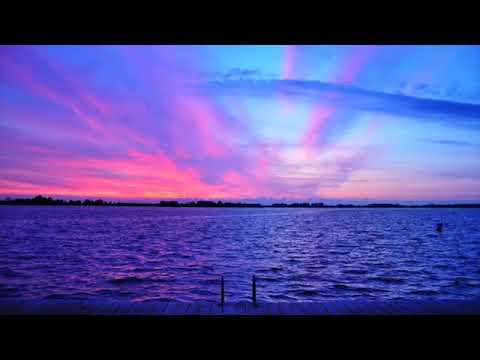 Видео: Роберт Адамс. 161. Уничтожение ума. NikOsho.