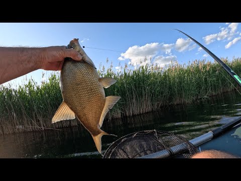 Видео: Боковий КИВОК БРАКОНЬЄРСЬКА СНАСТЬ! ЕЛЕКТРИЧНИЙ МОТОР до ЧОВНА