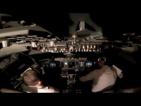 Видео: Как мы везли собачку на Boeing 737-700