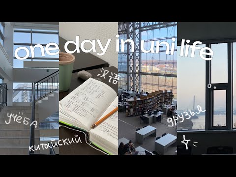 Видео: study vlog: китайский, учеба, друзья